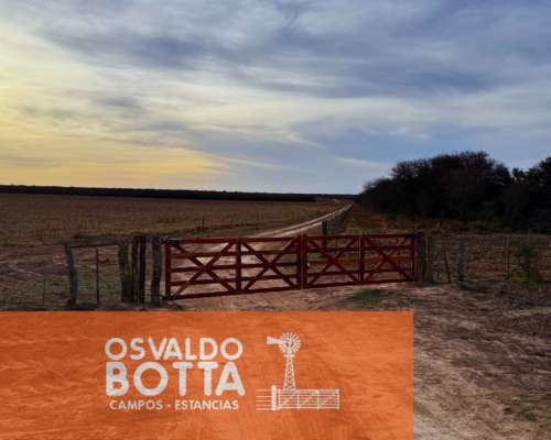 Campo Ganadero – 6.200has – Rucanelo, la Pampa