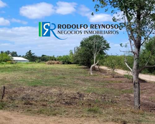 Lote en Venta – Autovía Ruta 14 Colón