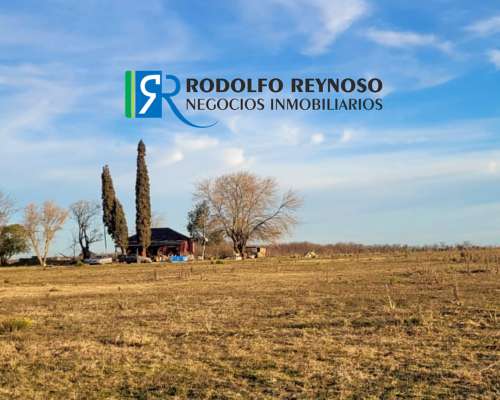 100 Ha en Concepción del Uruguay
