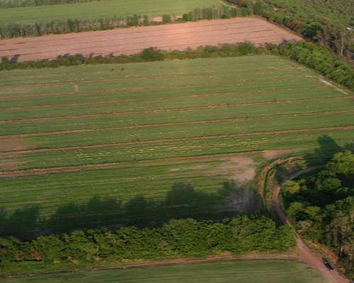 Santiago del Estero 370 Has Bien Agrícolas