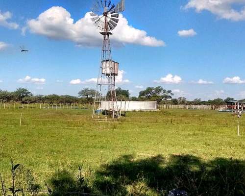 Campo Ganadero 600 Hectáreas