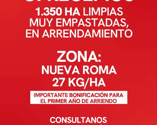 1.350 Ha Arrendamiento Mixto Ganadero, Nueva Roma, BA. BCA
