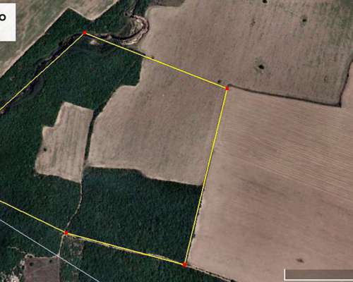 Campo en Venta 55 Ha en Taco Ralo Tucuman ( 3865-321355 )