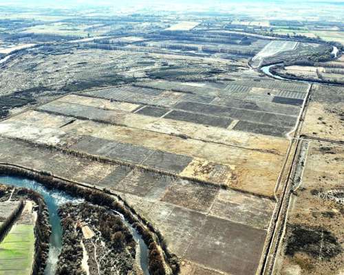 Lamarque, Avellandera, Río Negro - 16.387 Ha