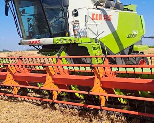 Claas Lexion 750, con Orugas, 40 Pies