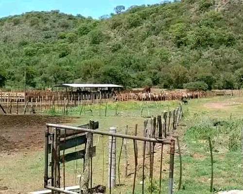 Campo Ganadero Dean Funes