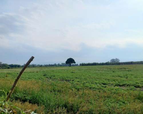 Hectareas Agricolas en Tafi Viejo Tucuman