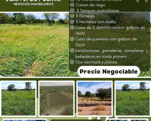 Campo Mixto en Venta - 1549 Hectáreas