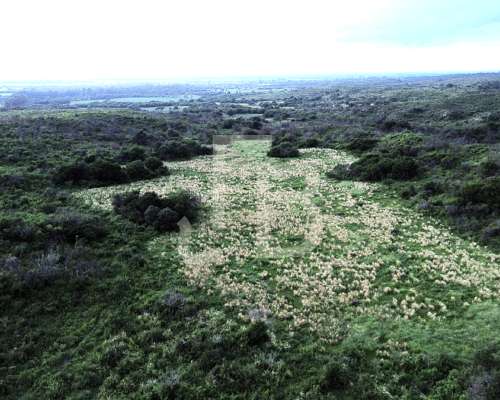 Campo 12 HA, Falda del Carmen