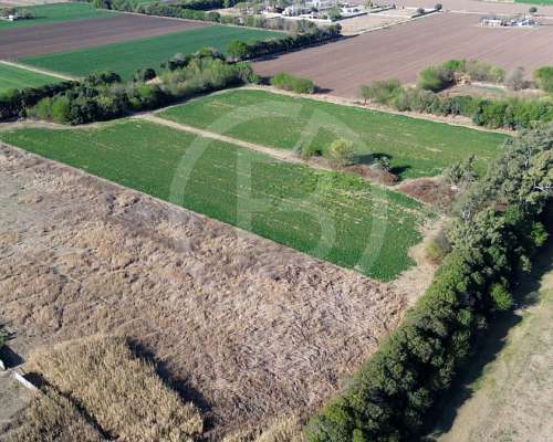 Terreno 20.000 M2 en Córdoba- Camino a San Carlos
