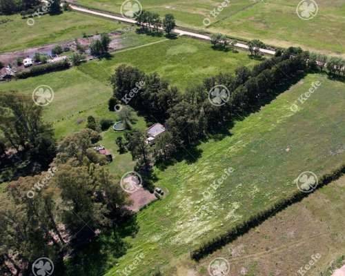 Chacra en Venta de 10 Has en Bragado con Mejoras