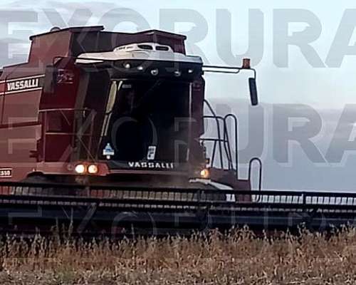 Vassalli 1550 Mod 2006, 9000 Horas