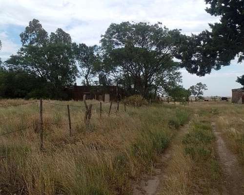 151 Ha Mixto Abramo la Pampa