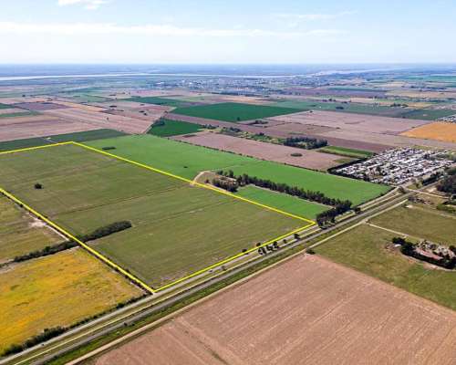 90 Ha Agrícolas Sobre Asfalto. Pavón, Constitución, SF
