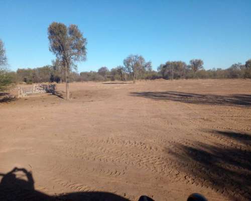 Ulapes (LA Rioja) 4.200 Has