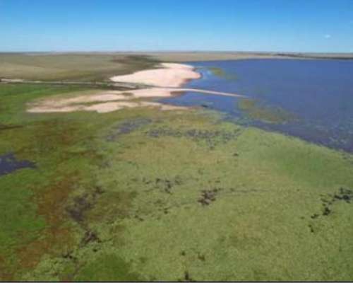 Estancia de 14000 Hectareas Corrientes