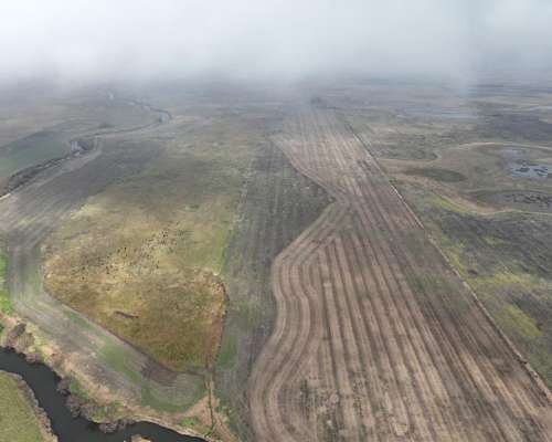 Crotto, Tapalqué, Buenos Aires - 440 Ha