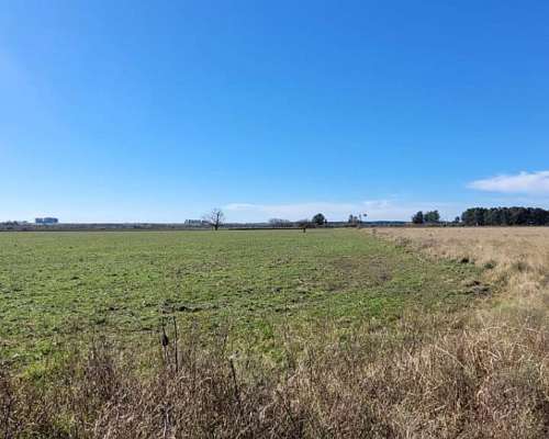 2 Campos de 24 Hectáreas C/U