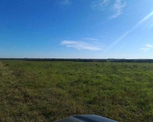 Campo Mixto 360 Hectareas