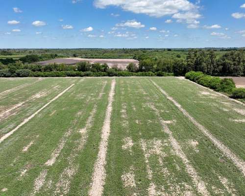 Ingeniero Forres, Robles, Santiago del Estero - 451 Ha