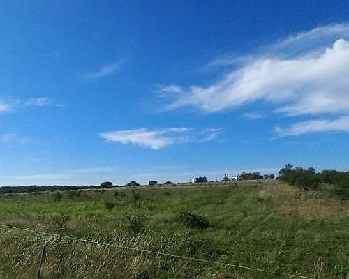Campo Mixto 42 Hectareas Entre Rios