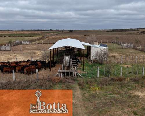 Campo Alfalfero en Venta — 1.220 Has Batavia, San Luis