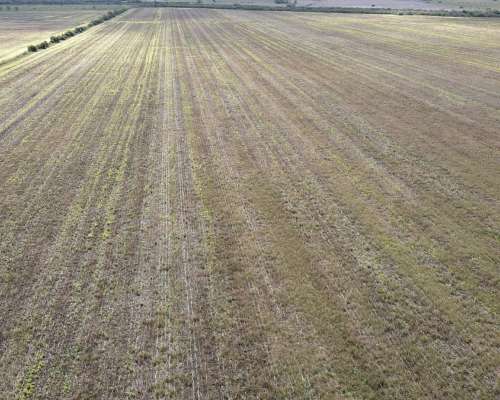 150 Hectáreas Agrícolas en Gualeguaychú.