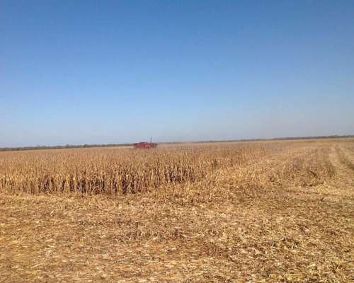 Vendo Campo Agricola Zona Villa Valeria-buena Esperanza