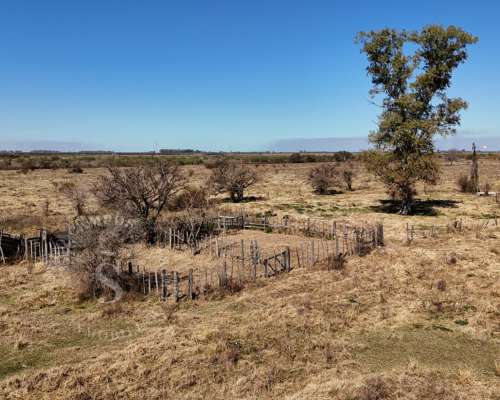 Candioti, Santa FE. 66 HA. Campo Mixto. Sobre Ripio.