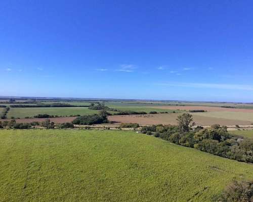 Campo Mixto 49 Hectáreas