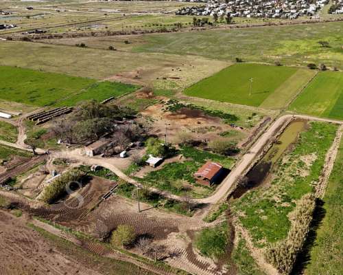 Campo Venta Santo Tomé, Santa FE. Zona Countries. 54 Ha