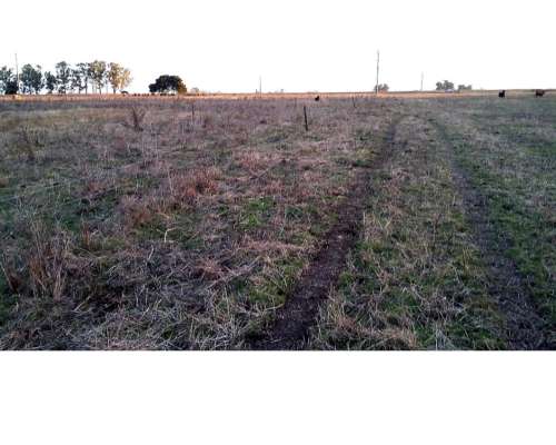 Campo en Venta en Punta Indio - 93 Hectáreas Sobre Ruta