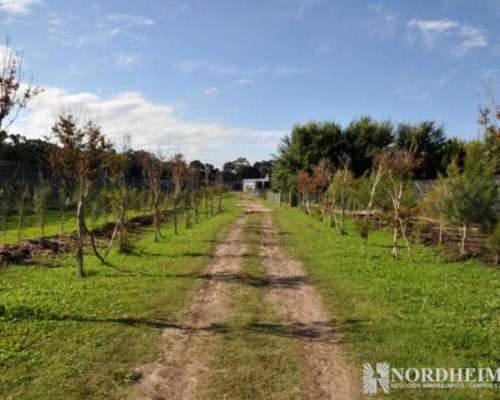 Sierra de los Padres, Buenos Aires - 10 Ha