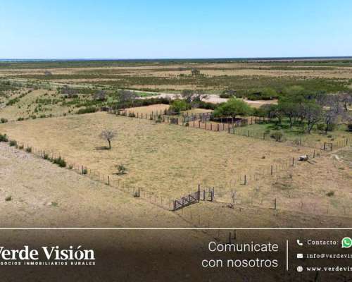 1007 Has en Venta - Pcia del Chaco, Venados Grandes