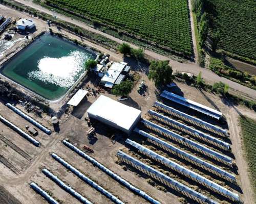 Finca de 49 Ha en Montecaseros