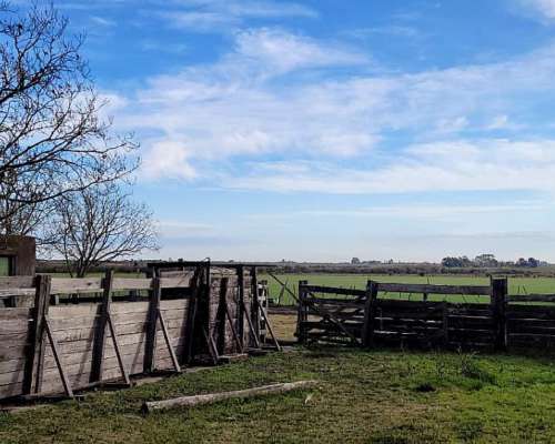 En Venta Campo 304 Hectáreas en el DTO Uruguay, Entre Ríos. - Agroads