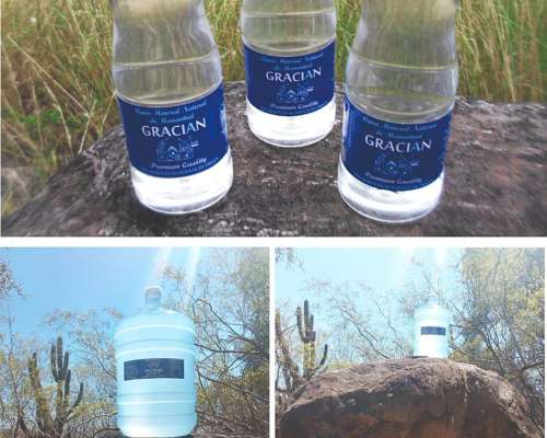 Manantial Agua Exportacion Dentro de la Propiedad y Planta