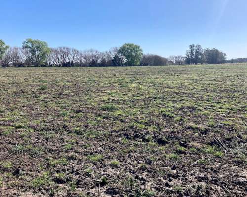 Campito de 3,2ha en Alquiler