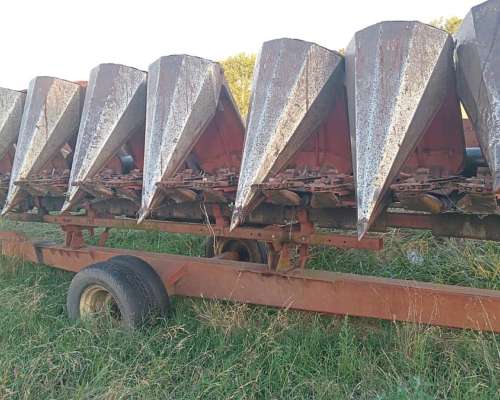 Maicero Mainero 1889 de 8surcos A70cm