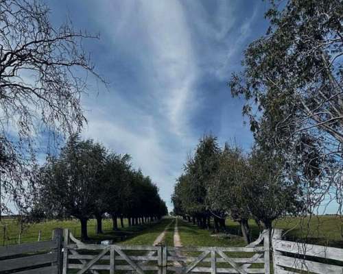 Campo en Venta Sobre Ruta 29. Ranchos