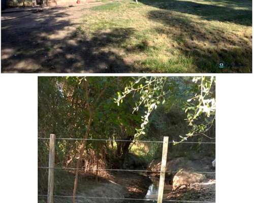 Venta de Campo Mixto con Casa 70 Hectáreas Canal de Riego