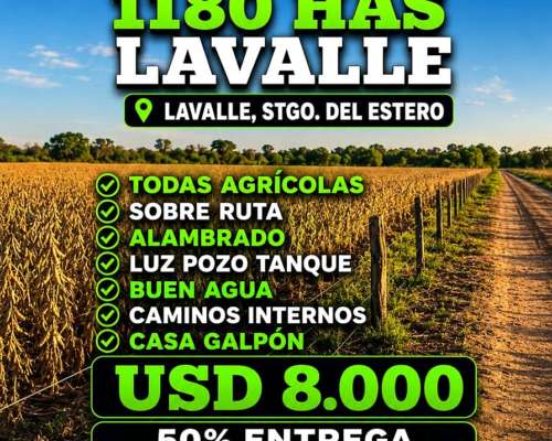 Lavalle 1180 Has Stgo del Estero Argentina