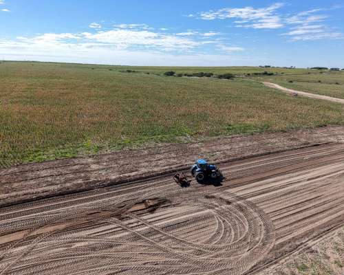 Las Vizcacheras, Pedernera, San Luis - 266 Ha