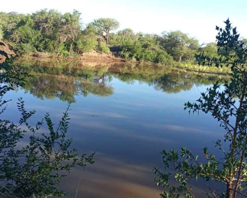 Campo Mixto de 417 Ha a 70 km de Merlo. Permuta.