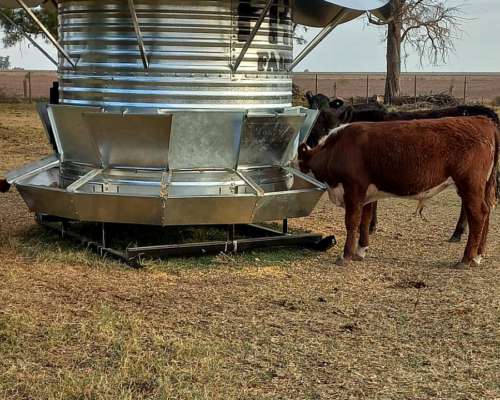 Autoconsumo-silos Comederos Línea C3-2 Redondos con Patines