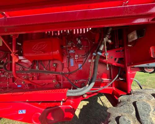 Vassalli 1550 año 2009