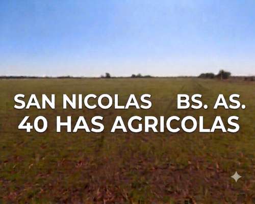 San Nicolas 40 Has Agricolas