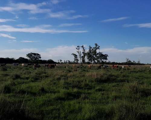 Chacra en Guaviravi Provincia de Corrientes
