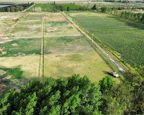 Finca de 48.8 Ha en la Dormida, Santa Rosa