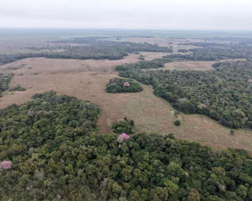 Bermejo, Chaco - 1.422 Ha